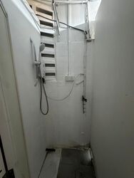 Lorong 15 Geylang (D14), Shop House #534266391